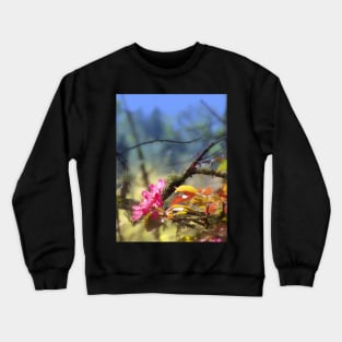 red Malus 'Radiant' crab apple blossoms #10, blue tint Crewneck Sweatshirt